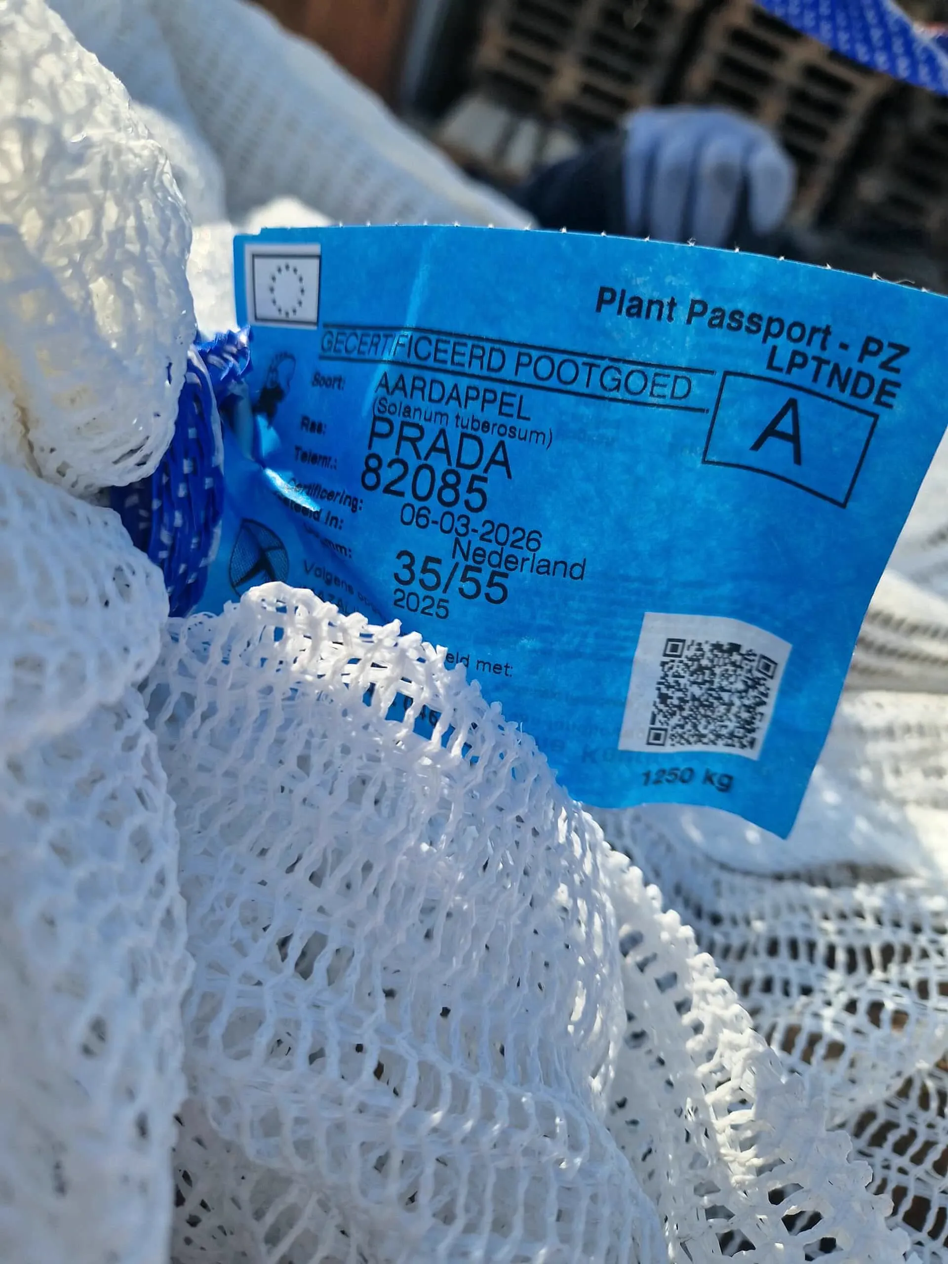pasaport fitosanitar lot Prada