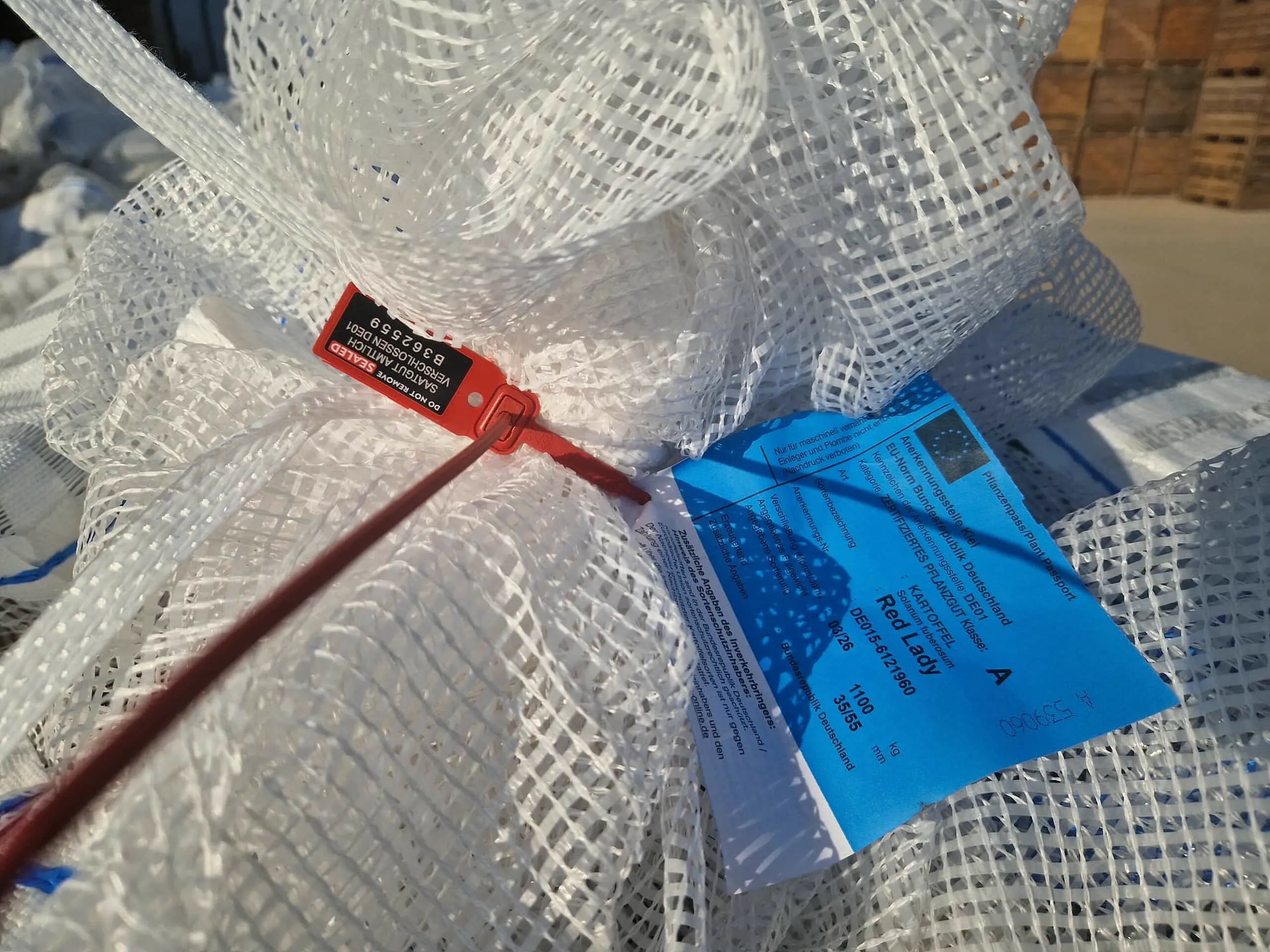 sigiliu și pasaport fitosanitar Red Lady